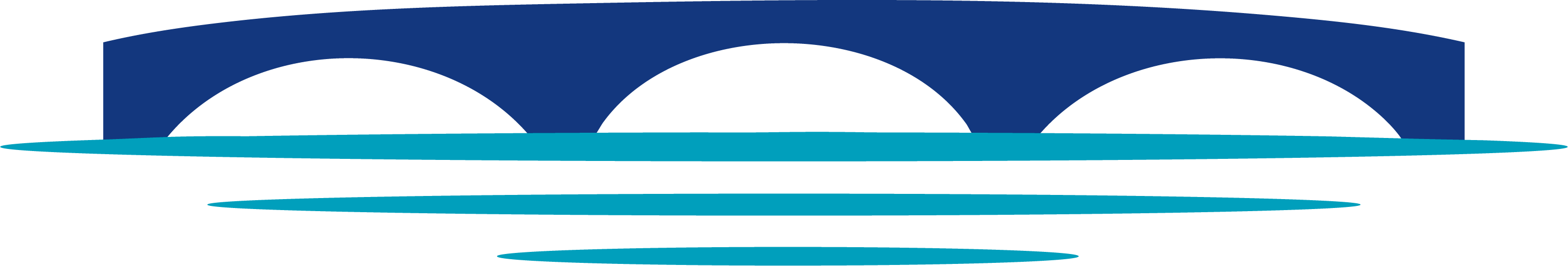 25D31E-DC NE Disruptor - Custom Logo - Charlie O'Neill (Charles River Properties Group)-clr-icon